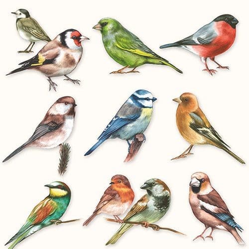 "Collection of Birds" Luxury Luncheon Napkin