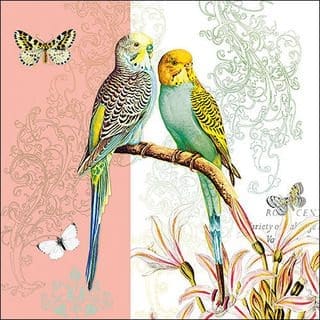 "Budgies" Coral Background Luxury Luncheon Napkin