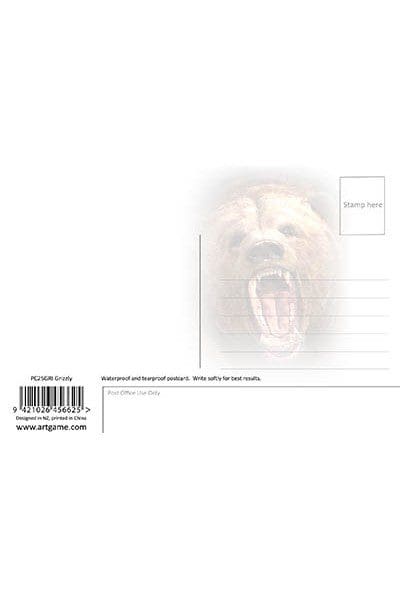 Grizzly 3D Postcard