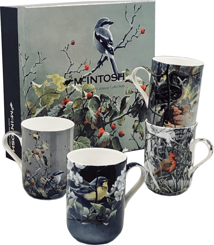 Bateman Birds Set of 4 mugs