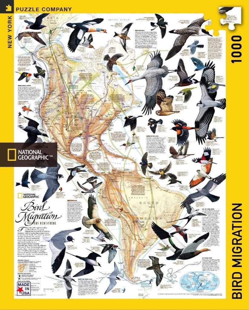 Bird Migration 1000 Piece Jigsaw Puzzle