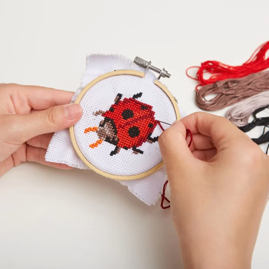 "Ladybug" Mini Cross Stitch Embroidery Kit