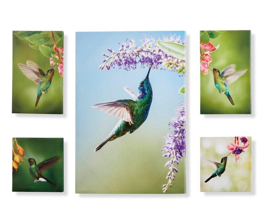 Green Hummingbird Design Canvas Wall Prints Set