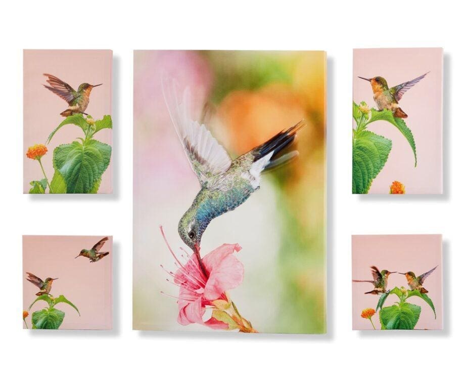 Hummingbird Design Canvas Wall Prints Set